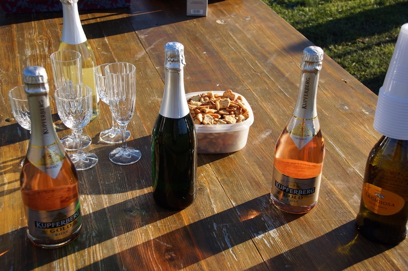 silvester silvester